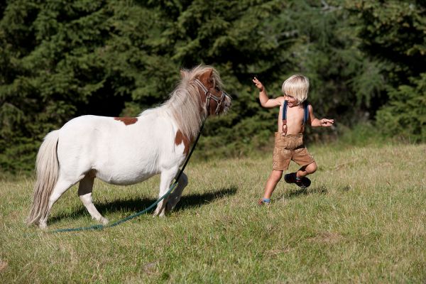 Familienurlaub am Katschberg Familienurlaub am Katschberg